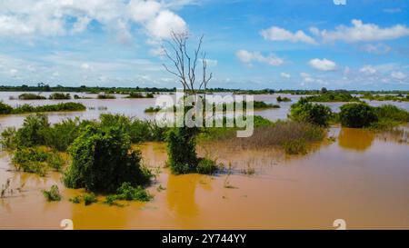 Der schlammige Mekong-Fluss überschwemmte seine Inseln in Kambodscha, von oben gesehen Stockfoto