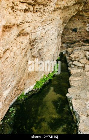 Der Südwesten der Arizona-Wüste mit Blick auf Montezumas Brunnen und den feuchten Beaver Creek, der das Wasser zur Anlage liefert. Stockfoto