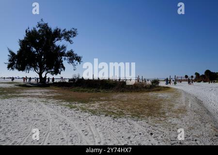 Genießen Sie die lebhafte Atmosphäre und die unberührten Strände von Siesta Beach, dem ultimativen Strandziel in Sarasota, Florida. Stockfoto