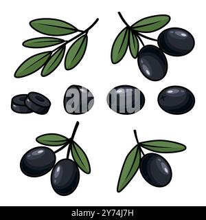 Kontursatz für flache Vektoren, schwarze Oliven und Zweige. Handgezeichnete Olivenbaumbeeren und Branch Clipart. Olivenzweig mit Blättern für Olivenölprodukte Stock Vektor