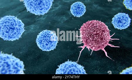 Illustration zur tumorinfiltrierenden Lymphozytentherapie (TIL) zur Krebsbehandlung. Während der TIL-Therapie werden T-Zellen (blau), die Tumorzellen erkennen (rot), von einem Patienten gewonnen. Diese Zellen können mit einem Transgen gentechnisch verändert und dann dem Patienten zur Behandlung der Tumorzellen wieder verabreicht werden. Stockfoto