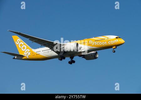 Boeing 787-8 Dreamliner Scoot Airlines, Flugzeug Flugzeug Flugzeug Flugzeug Jetliner Passagier Jet Airliner, Landung Annäherung Flying Side View on Blue Sky Stockfoto