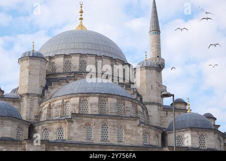 Genießen Sie einen atemberaubenden Blick auf die historischen Moschekuppeln und majestätischen Minarette vor dem Himmel Stockfoto