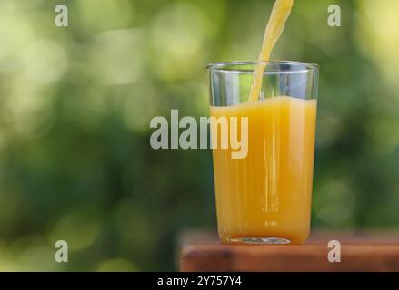 Orangensaft im Glas auf Holztisch im Freien Stockfoto