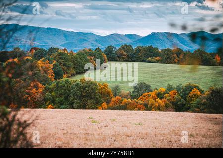 Herbst Natur am Abend, dunkles Licht, Erdfarben Stockfoto