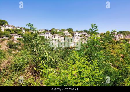 Malerischer Blick auf das Dorf Vitsa in Zagori, Griechenland, mit traditionellen Steinhäusern auf einem üppig grünen Hügel unter klarem Himmel. Stockfoto