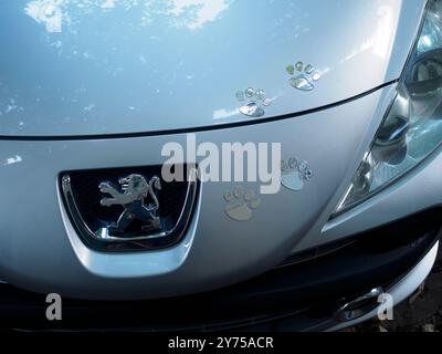 Cremona, Italien 26. September 2024 Metallische Pfotenaufkleber mit silberner peugeot-Motorhaube, die die Zuneigung eines Tierbesitzers zum Ausdruck bringen Stockfoto