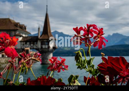 Schloss Oberhofen am Thunersee in den schweizer Alpen. Oberhofen am Thunersee im Kanton Bern. Schloss am Thunersee, Schweiz. Stockfoto