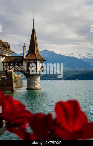 Schloss Oberhofen am Thunersee in den schweizer Alpen. Oberhofen am Thunersee im Kanton Bern. Schloss am Thunersee, Schweiz. Stockfoto