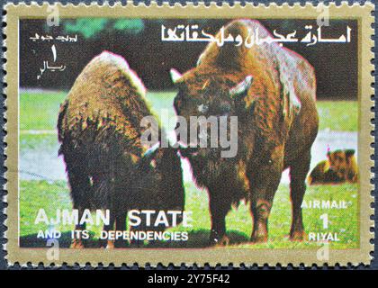 Gestempelte Briefmarke von Ajman, die Bison zeigt, um 1973. Stockfoto