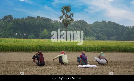 Bauern von Bangladesch in Asien. Einige Landwirte Pflanzen Organismen auf dem Land. Das Foto wurde am 23. Oktober 2023 in Khulna, Bangladesch, aufgenommen. Stockfoto