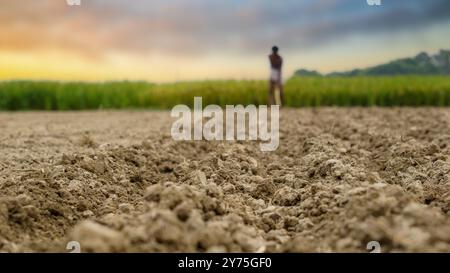 Bauern von Bangladesch. Ein Landwirt bewirtschaftet den Boden durch Bodenbearbeitung. Reisfeld dahinter. Das Foto wurde am 23. Oktober 2023 aus Khulna Ba aufgenommen Stockfoto