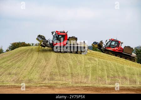 Pisten Bully 600 & 300 arbeiten an einem Maishaufen, der zur Biogaserzeugung genutzt wurde Stockfoto