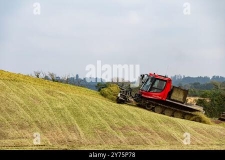 Pisten Bully 600 & 300 arbeiten an einem Maishaufen, der zur Biogaserzeugung genutzt wurde Stockfoto