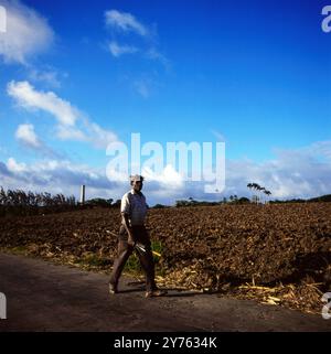 Einzelner Spaziergänger mit Schirm im Inselinneren von Barbados, um 1985. Stockfoto