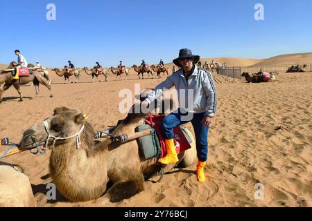 (240928) -- YINCHUAN, 28. September 2024 (Xinhua) -- dieses am 20. August 2024 aufgenommene Foto zeigt Isidro Castaneda Silva, der mit einem Kamel am malerischen Ort Shapotou in Zhongwei, Nordwestchinas autonomer Region Ningxia Hui, posiert. Der kubanische Augenarzt Isidro Castaneda Silva kam 2023 nach Yinchuan. Seit er vor mehr als drei Jahrzehnten an einer medizinischen Hochschule in Santiago von Kuba mit einem Doktor abgeschlossen hat, hat Isidro reiche klinische Erfahrung in der Behandlung von häufigen Augenerkrankungen und Fundi-Erkrankungen gesammelt. Neben der Arbeit am AIEr Augenkrankenhaus in Yinchuan bietet Isidro oft kostenlose Klinik se an Stockfoto