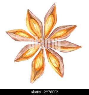 Sternförmige Anisschote in satten Braun- und Orangenaquarellen. Gewürze Clipart für Weihnachtsverpackungen, festliche Rezeptbücher oder elegante Branding-Materialien mit Gewürzbezug Stockfoto