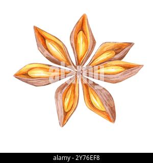 Ein Sternanis in warmen Braun- und Orangetönen. Aquarellillustration ideal für Gewürzmotive, kulinarische Blogs und Küchendekorationen. Perfekt für Weihnachtskarten und Lebensmittelverpackungen Stockfoto