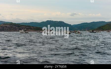 Lindesnes, Norwegen - 07. August 2021: Eine kleine Armada von Booten, die ein Segelschiff aufnehmen sollen. Stockfoto