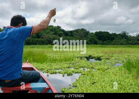 Angeln für Erwachsene auf traditionellem Holzkanu, Amazonas Naturschutzgebiet Stockfoto