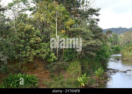 Andasibe, ländliche Gemeinde. Fluss Vohitra. Moramanga, Region Alaotra-Mangoro, Madagaskar. Stockfoto