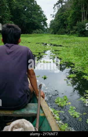 Ein junger Seemann navigiert auf einem traditionellen Holzboot durch den amazonasfluss Stockfoto