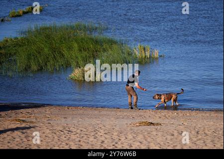 Weite Sicht auf einen Mann, der mit seinem Hund an einem Sandstrand am See an einem schönen Sommertag spielt. Stockfoto