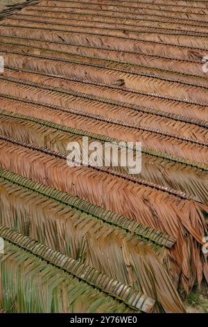 Einheimisches traditionelles Maloca-Haus im amazonaswald Stockfoto