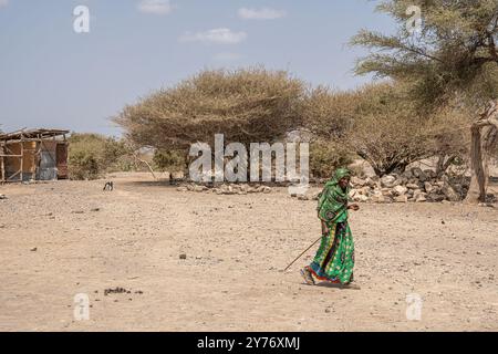 Ländliches afrikanisches Dorfleben in einem kleinen Dorf, Danakil-Depression, Afar-Region, Äthiopien Stockfoto