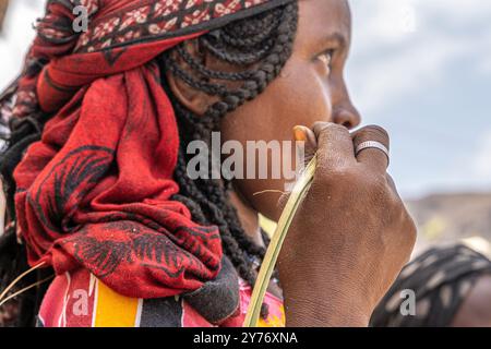 Ländliches afrikanisches Dorfleben in einem kleinen Dorf, Danakil-Depression, Afar-Region, Äthiopien Stockfoto