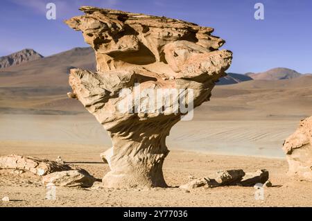 Majestätischer Arbol de Piedra: Der Steinbaum der bolivianischen Wüste (Juntacha, Bolivien) Stockfoto