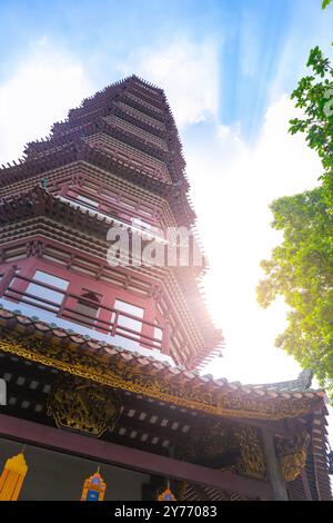 Tempel der sechs Banyan-Bäume Stockfoto