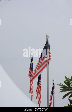 Vier malaysische Fahnen flattern auf Polen vor klarem Himmel, symbolisieren Patriotismus und Nationalstolz. Stockfoto