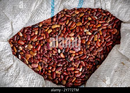 Rote Bohnen in einem weißen Sack. Stockfoto