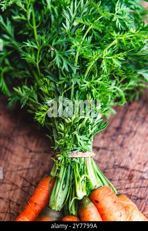 Orangefarbene Karotten auf hölzernem Hintergrund. Ein Haufen schmutziger, frischer Karotten mit Grünzeug aus nächster Nähe. Stockfoto