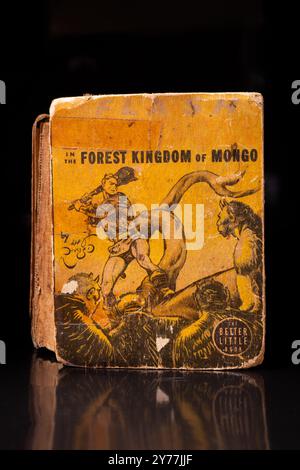 Everett WA USA, 13. September 2024: Antike Little Book Flash Gordon in the Forest Kingdom of Mongo, getragen und gefärbt aus Jahren der Lektüre Stockfoto