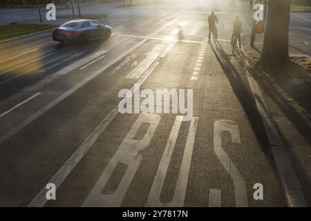 Radweg gegen das Licht. Markierung auf der Straße. Berlin, Deutschland, Europa Stockfoto