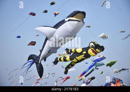 Drachenfest, Drachenflieger am Schönberg-Strand, Schleswig-Holstein, Deutschland, Europa Stockfoto