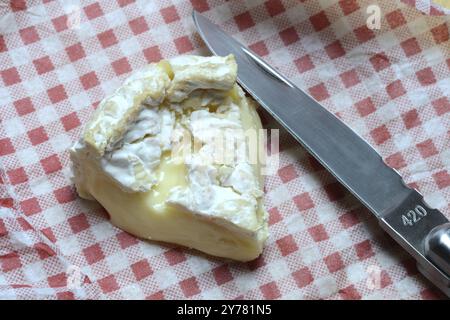 Französischer Camembert, Schnittkäse, Frankreich, Europa Stockfoto