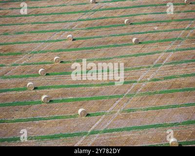 Strohballen auf einem geernteten Feld, Drohnenfoto. Gotha, Thüringen, Deutschland, Europa Stockfoto