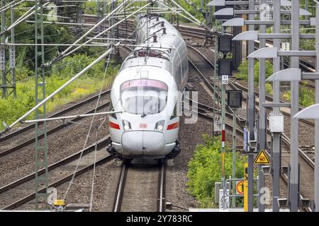 ICE-Zug fährt auf offenem Gleis in der Nähe des Bahnhofs Gesundbrunnen, Berlin, Deutschland, Europa Stockfoto