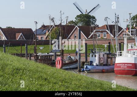 Hafen mit Fischerbooten, Windmühle und Häuser im Hintergrund, grüne Wiese im Vordergrund, Ditzum, Ostfriesland, Deutschland, Europa Stockfoto