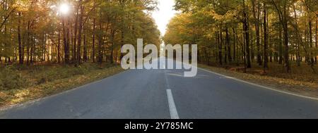 Gerader Asphaltweg durch einen farbenfrohen Herbstwald am Morgen. Die Sonnenstrahlen strahlen strahlen durch die Äste und bunten Blätter Stockfoto