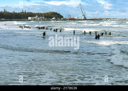 Bernsteinbergleute, Bernsteinfischerei im Meer, Ostsee, Region Kaliningrad, Russland, 28. Oktober 2018, Europa Stockfoto