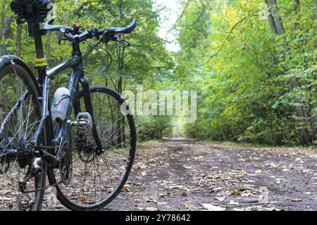 Black Bike im Herbstwald, Region Kaliningrad, Russland, 30. September 2018, Europa Stockfoto