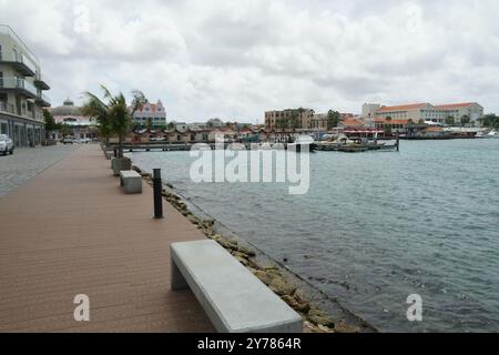 Ruhebereich mit Bänken, Palmen und Yachthafen mit privaten Yachten in der Nähe der Meeresbucht in Oranjestad auf Aruba. Stockfoto