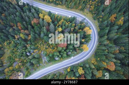 Blick aus der Höhe der Straße, die sich durch den herbstlichen Bergwald mit bunten Blättern schlängelt. Grüner Weihnachtsbaum Draufsicht Stockfoto