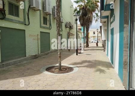 Downtown mit farbenfrohen Gebäuden im Kolonialstil in einer engen Straße mit Palmen und einigen Hühnern in Oranjestad auf Aruba. Stockfoto