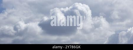 Panorama von dicken, flauschigen, grauen Wolken am Himmel Stockfoto