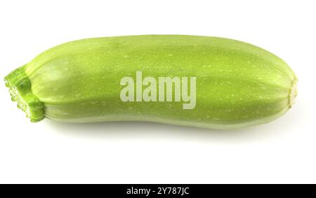 Kleine frische junge grüne Zucchini auf weißem Hintergrund Stockfoto